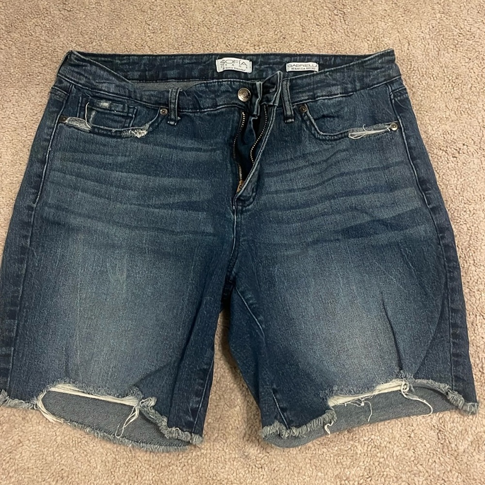 Sofia Vergara Jeans Size 10 Denim Jean Shorts